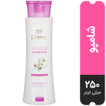 شامپو مو حجم دهنده Jojoba Volumizing سینره