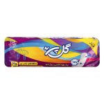 پد بهداشتی روزانه 20 عددی گل پر