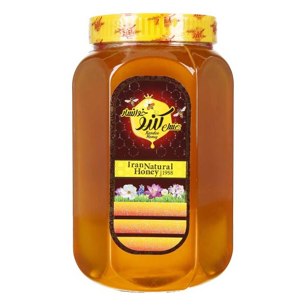 عسل 2 کیلویی کندو خوانسار