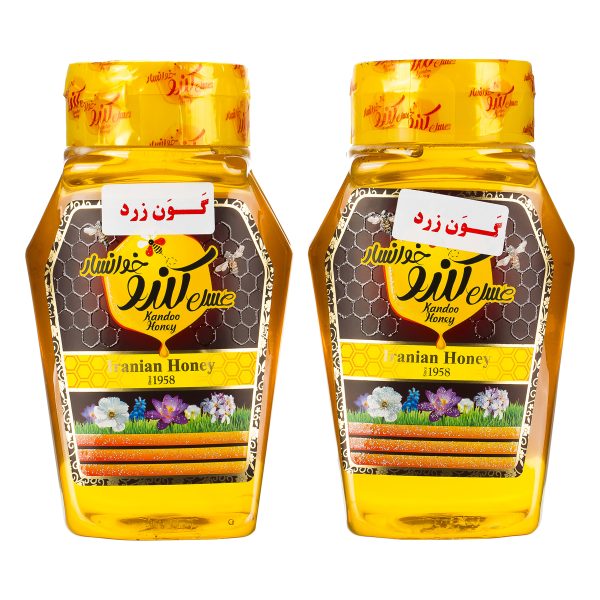 عسل گون زرد 500 گرمی به همراه یک عدد هدیه کندو خوانسار
