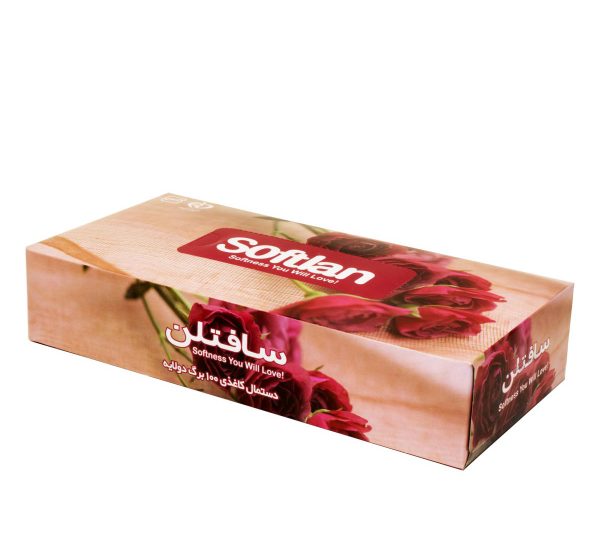 سافتلن دستمال کاغذی ۱۰۰ برگ دولا