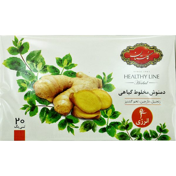 دمنوش انرژی مخلوط گیاهی (زنجبیل،دارچین،گشنیز) گلستان 20 عددی